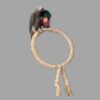 Circle-jouet de perroquet pour la boutique